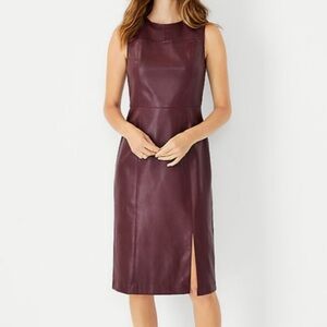 Ann Taylor faux leather dress NEW WITH TAGS